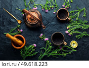 Teapot with medicinal wild herbal tea.Milk thistle or Silybum marianum in in herbal medicine. Thistle in herbal medicine. Стоковое фото, агентство Ingram Publishing / Фотобанк Лори