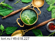 Summer green nettle soup. Fresh nettle chowder. Cream soup.. Rural lunch, nettle soup,top view. Стоковое фото, агентство Ingram Publishing / Фотобанк Лори