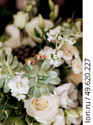 wedding rings with a wedding decor. Стоковое фото, агентство Ingram Publishing / Фотобанк Лори