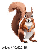 A squirrel holds a nut or an acorn in its paws. It gnaws on a nut. Стоковое AI-изображение, AI-художник Irina Kuchugurina/Gaudy / Фотобанк Лори