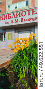 Лилейник (Hemerocallis) – род растений семейства Асфоделовые (Asphodelaceae) лилейник буро-желтый на клумбе перед входом в библиотеку А. М. Васнецова. Редакционное фото, фотограф Светлана Русских / Фотобанк Лори