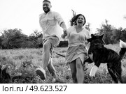 Big dog for a walk with a guy and a girl on the green prairie. Стоковое фото, агентство Ingram Publishing / Фотобанк Лори