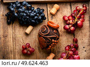 Young grape wine in a vessel. Beautiful wine flask with autumn grape wine. Stylish bottle of wine. Стоковое фото, агентство Ingram Publishing / Фотобанк Лори