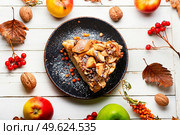 Autumn pie with apples, nuts and sea buckthorn. Charlotte on kefir.. Slice of rustic apple pie. Стоковое фото, агентство Ingram Publishing / Фотобанк Лори