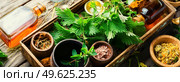 Healing herbs set, natural herbs medicine. Medicinal healing herbs. Healing herbs in herbal medicine. Стоковое фото, агентство Ingram Publishing / Фотобанк Лори