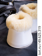 luxery hoof protectors with natural fur for sportive horses in complete with cover and halter. horse stuff and care. Стоковое фото, агентство Ingram Publishing / Фотобанк Лори