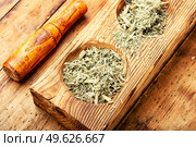 Herbal medicine, medicinal herbs, mugwort. Wormwood in a mortar.. Wormwood herb, absinth. Стоковое фото, агентство Ingram Publishing / Фотобанк Лори