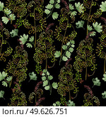 Watercolor Seamless pattern with different  ferns.  Illustration. Watercolor Seamless pattern with different  ferns. . Стоковое фото, агентство Ingram Publishing / Фотобанк Лори