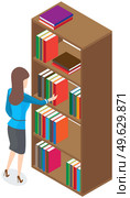 Beautiful brunette librarian woman in library chooses books on shelves in bookcase back view. Young female at book showcase looks at literature in bookstore. Girl student reads and educates herself. Beautiful brunette librarian woman in library chooses books on shelves in bookcase back view. Стоковая иллюстрация, агентство Ingram Publishing / Фотобанк Лори