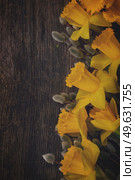 spring fresh  yellow daffodil flowers with catkins border on wooden background, retro toned. spring narcissus with catkins. Стоковое фото, агентство Ingram Publishing / Фотобанк Лори
