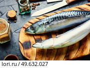 Raw mackerel fish and spices on the kitchen table. Seafood. Fresh, raw mackerel fish. Стоковое фото, агентство Ingram Publishing / Фотобанк Лори