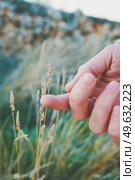 Man’s hand touching a fragile spike. Стоковое фото, агентство Ingram Publishing / Фотобанк Лори