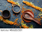 Healing tea with sea buckthorn. Delicious fresh tea from autumn berries.. Seasonal medicinal sea buckthorn tea. Стоковое фото, агентство Ingram Publishing / Фотобанк Лори