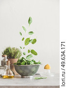 Falling green spinach leaves in sieve on kitchen table with ingredients:  olive oil, potted herbs, lemon and pepper. Food levitation concept. Healthy cooking preparation at home. Front view. Стоковое фото, агентство Ingram Publishing / Фотобанк Лори