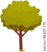 Alone deciduous tree with trunk and dense foliage. High plant with widely spread branches and green leaves. Broad-stemmed deciduous plant. Tree with green foliage isolated on white background. Deciduous tree with trunk and dense foliage. High plant with widely spread branches and green leaves. Стоковая иллюстрация, агентство Ingram Publishing / Фотобанк Лори