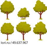 Set of deciduous tree with trunk and dense foliage. High plant with widely spread branches and green leaves. Broad-stemmed deciduous plant. Tree with green foliage isolated on white background. Deciduous tree with trunk and dense foliage. High plant with widely spread branches and green leaves. Стоковая иллюстрация, агентство Ingram Publishing / Фотобанк Лори