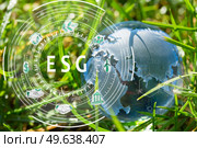 Glass globe in the grass concept for environment. Glass globe in the grass. Стоковое фото, агентство Ingram Publishing / Фотобанк Лори