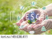 Glass globe in hand on grass background concept for environment, toned. concept for environment. Стоковое фото, агентство Ingram Publishing / Фотобанк Лори