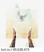 Peace conceptual painting with human hands stretched up towards a flying white pigeon. Stop war, harmony and pacification concept. Стоковое фото, агентство Ingram Publishing / Фотобанк Лори