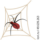 Huge spider sits on spiderweb with top view, vector halloween, scary and haunted elements. Dangerous insect, tarantula in woven web. Arthropod insect, poisonous spider isolated on white background. Dangerous insect, tarantula in woven web. Arthropod insect, poisonous spider sitting on spiderweb. Стоковая иллюстрация, агентство Ingram Publishing / Фотобанк Лори