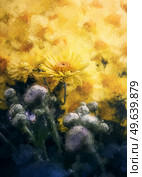 Painting of yellow chrysanthemums. Blooming autumn flowers. Soft nature background with blossoming Michaelmas daisies. Стоковое фото, агентство Ingram Publishing / Фотобанк Лори