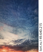 Dreamlike sunset sky vertical background with fluffy and colorful cirrus clouds above the horizon. Sunrise celestial view. Стоковое фото, агентство Ingram Publishing / Фотобанк Лори