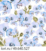 Seamless pattern with orchid flower and leaves. Illustration.. Seamless pattern with orchid flower and leaves. Стоковое фото, агентство Ingram Publishing / Фотобанк Лори