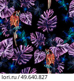 Pattern with watercolor realistic flowers plumeria, alstroemeria and parrot. Illustration.. Pattern with watercolor realistic flowers plumeria, alstroemeria and parrot. Стоковое фото, агентство Ingram Publishing / Фотобанк Лори