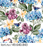 Colorful watercolor pattern with flowers hydrangeas , alstroemeria, irises and birds . Illustration. Colorful watercolor pattern with flowers hydrangeas , alstroemeria, irises and birds . . Стоковое фото, агентство Ingram Publishing / Фотобанк Лори