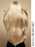 Back view of woman with long beautiful blond hair isolated on beige background. Dyeing and hair care. Shiny smooth blonde hair. Стоковое фото, агентство Ingram Publishing / Фотобанк Лори