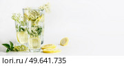 Elder flowers lemonade mocktail in glasses with lemon slices at white background. Healthy seasonal refreshing drink with ingredients . Front view. Banner. Стоковое фото, агентство Ingram Publishing / Фотобанк Лори