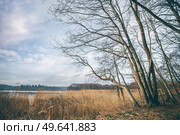 Trees near a lake in a beautiful autumn landscape with rushes and a blue sky. Стоковое фото, агентство Ingram Publishing / Фотобанк Лори