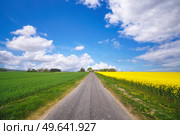 Asphalt road in a rural landscape with green and yellow fields and rapeseed flowers. Стоковое фото, агентство Ingram Publishing / Фотобанк Лори