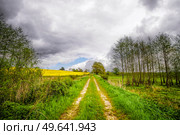Rural countryside road in cloudy weather with a yellow rapeseed field in the background. Стоковое фото, агентство Ingram Publishing / Фотобанк Лори