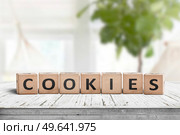 Cookies word on wooden blocks in a bright living area with green plants. Стоковое фото, агентство Ingram Publishing / Фотобанк Лори