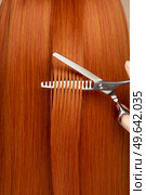 Hairdresser cuts long red hair with scissors. Hair salon, hairstylist. Care and beauty hair products. Dyed hair. Стоковое фото, агентство Ingram Publishing / Фотобанк Лори