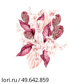 Watercolor wedding bouquet with Exotic flowers, orchid, protea, parrot and palm leaves. Illustration. Watercolor wedding bouquet with Exotic flowers, orchid, protea, parrot and palm leaves. Стоковое фото, агентство Ingram Publishing / Фотобанк Лори