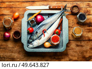 Raw mackerel fish and spices on the kitchen table. Uncooked fish. Fresh, raw mackerel fish. Стоковое фото, агентство Ingram Publishing / Фотобанк Лори