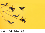 Halloween flat lay top view scene with bats and spiders on bright orange background banner with copy space. Halloween scene on orange background. Стоковое фото, агентство Ingram Publishing / Фотобанк Лори