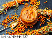 Healthy sea buckthorn jam. Homemade autumn berry jam.. Glass jar with sea buckthorn jam. Стоковое фото, агентство Ingram Publishing / Фотобанк Лори