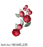 Elegant bouquet with peonies, roses and eucalyptus leaves. Illustration. Elegant bouquet with peonies, roses and eucalyptus leaves. Стоковое фото, агентство Ingram Publishing / Фотобанк Лори