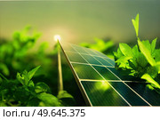 save the green planet concept with fresh geen leafs and electric power solar plant panels, clear green energy concept. green planet concept. Стоковое фото, агентство Ingram Publishing / Фотобанк Лори