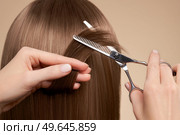 Hairdresser cuts long brunette hair with scissors. Hair salon, hairstylist. Care and beauty hair products. Dyed hair. Стоковое фото, агентство Ingram Publishing / Фотобанк Лори