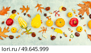 Squash with autumn fruit, apples,gourds and nuts, long banner. Autumn food, autumn still life. Стоковое фото, агентство Ingram Publishing / Фотобанк Лори