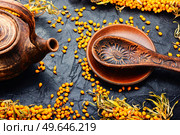Healthy autumn beverage, seasonal tea with sea buckthorn berries. Vitamin tea with sea buckthorn. Стоковое фото, агентство Ingram Publishing / Фотобанк Лори