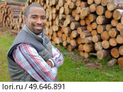 Portrait of man next to stack of felled trees. Стоковое фото, агентство Ingram Publishing / Фотобанк Лори
