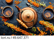 Salubrious autumn drink, tea with fresh sea buckthorn berries. Vitamin tea with sea buckthorn. Стоковое фото, агентство Ingram Publishing / Фотобанк Лори