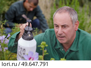 man sprays flowers at greenhouse. Стоковое фото, агентство Ingram Publishing / Фотобанк Лори