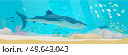 Underwater ocean fauna with exotic fishes. Ocean bottom with marine life reprsentatives. Marine underwater world with school of tropical fish. Seascape, undersea landscape vector illustration. Underwater ocean world with exotic fishes. Ocean bottom with marine life, school of tropical fish. Стоковая иллюстрация, агентство Ingram Publishing / Фотобанк Лори