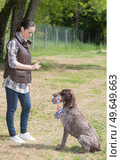 portrait of breeder training dog. Стоковое фото, агентство Ingram Publishing / Фотобанк Лори